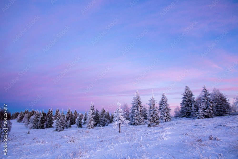 Scenic winter landscape with snowy fir trees. Winter postcard. Scenic winter landscape with snowy fir trees. Winter postcard.
