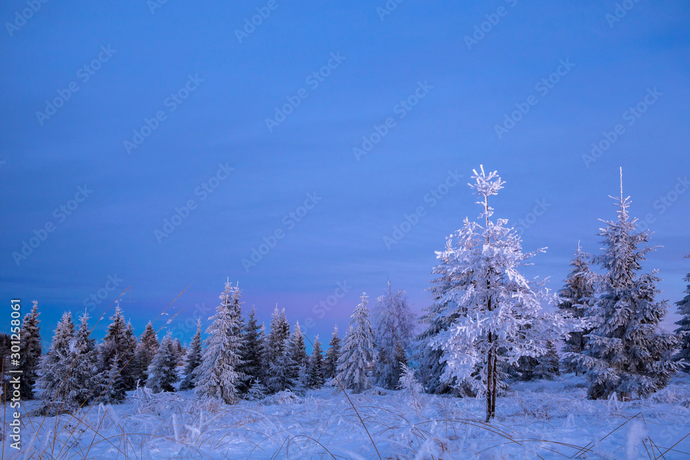 Scenic winter landscape with snowy fir trees. Winter postcard. Scenic winter landscape with snowy fir trees. Winter postcard.