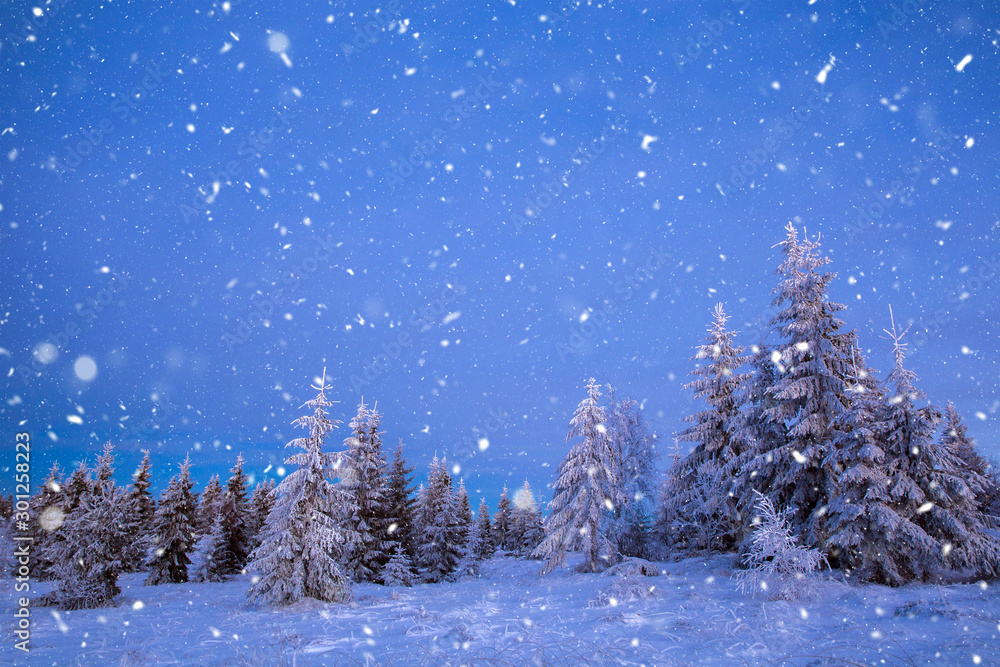 Scenic winter landscape with snowy fir trees. Winter postcard.