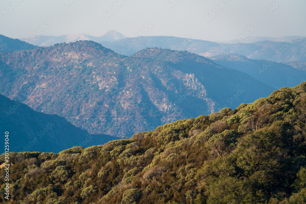 Hazy Morning View at Sequoia National Park