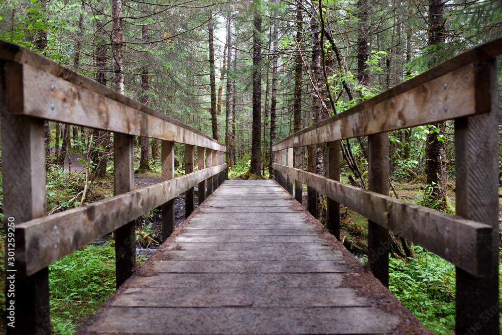 Obraz premium Trail to Adventure