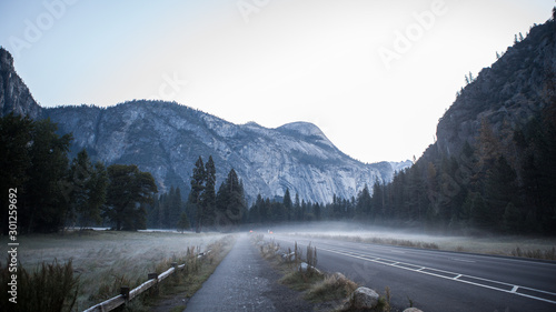 Foggy Road