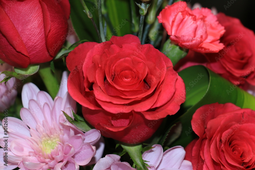 Fototapeta premium Spring in the air, beautiful colorful spring flowers and roses