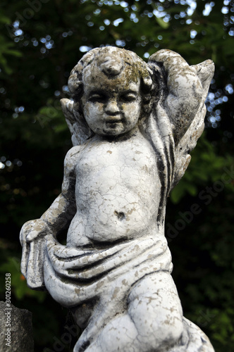 Cemetery Angel