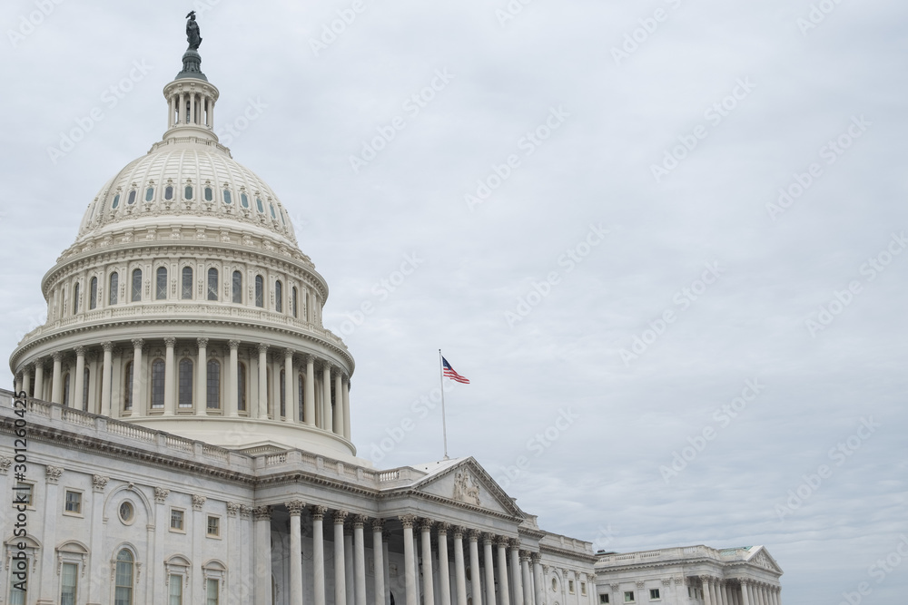 Naklejka premium U.S. Capitol Building, Washington, DC USA