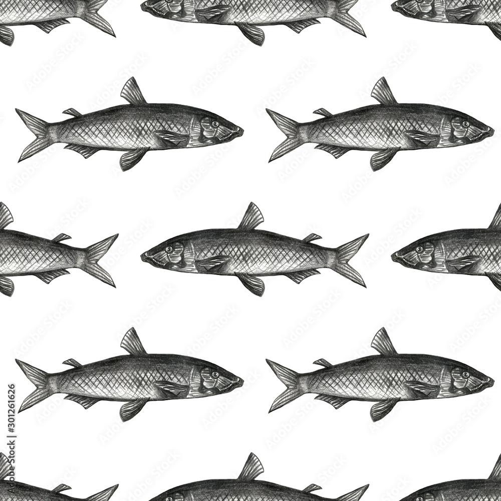 Obraz premium Collection of sea animals. Hand drawing sketch pencil illustration. Shell, seastar, underwater life.
