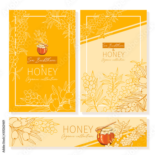 Honey vintage banners design. Engraved sea buckthorn honey flower with glass honey jar and drop. Hand drawn orange logo templates set. Sketch seaberry printable poster for branding or layout design