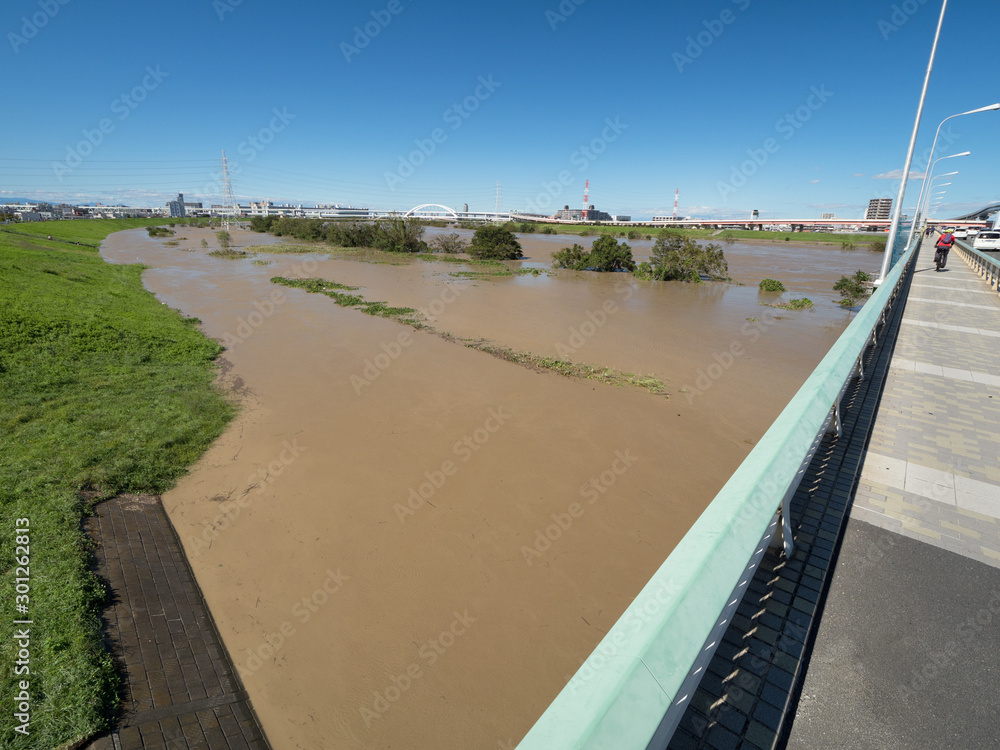 Fototapeta premium 台風で増水した荒川 東京都足立区