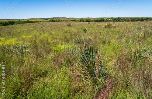 The Landscape of Washita Battlefield National Historic Site photo