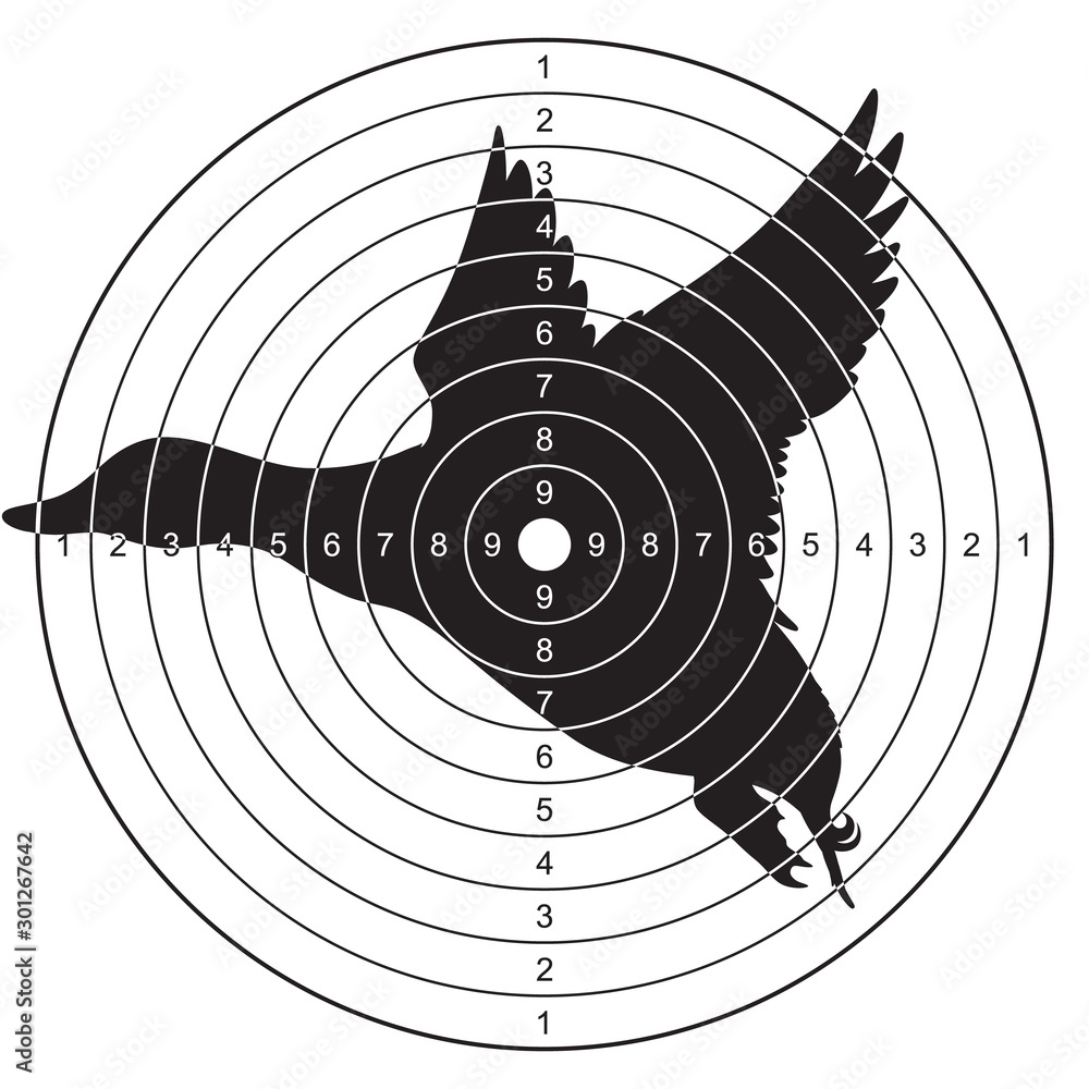 Target with a silhouette of a flying duck for shooting, plinking
