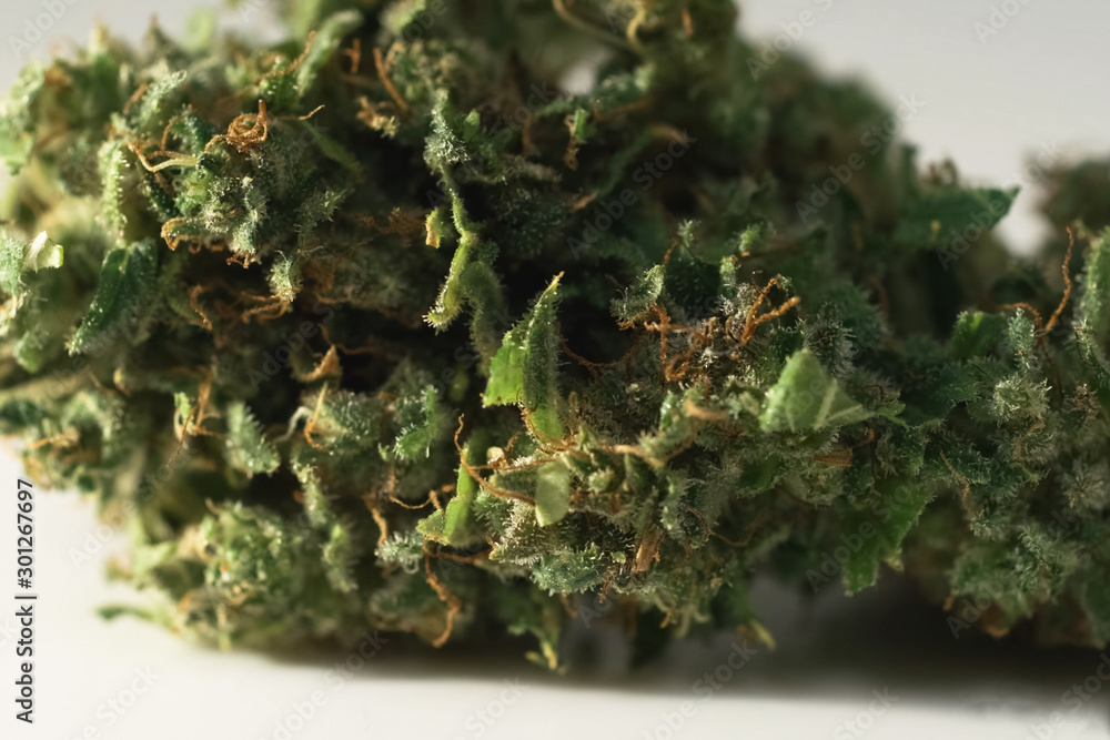 Macro photo of pressed cannabis. a Pressed marijuana near. Macro photo of pressed cannabis. a Pressed marijuana near.