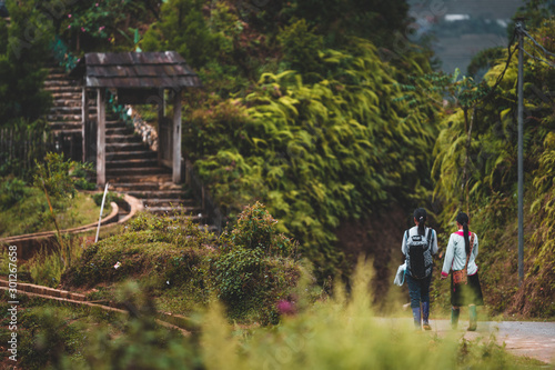 Photography Local children return to their villages from Sapa schools in Northern Vietnam, an area surrounded by mountains and forest