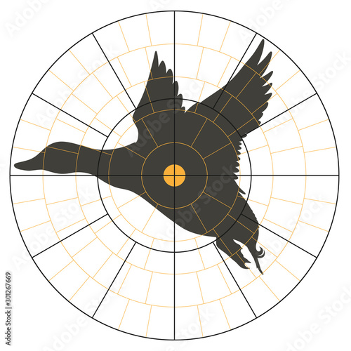 Test target with a silhouette of a flying duck for hunter