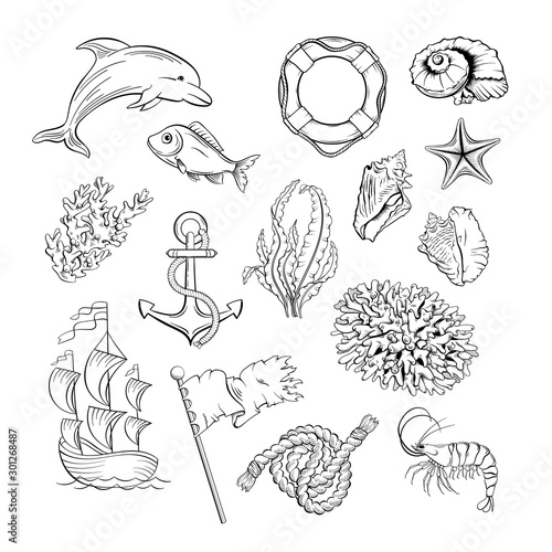 Marine themed black and white illustrations set. Sea flora, fauna and sailing attributes hand drawn ink pen symbols pack. Sealife, ocean wildlife, fish and seashells decorative outline drawings