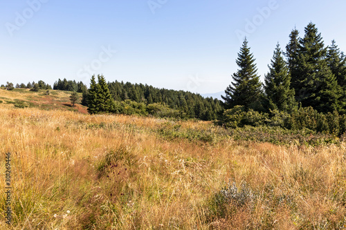 Autumn landscape of Vitosha Mountain, Bulgaria