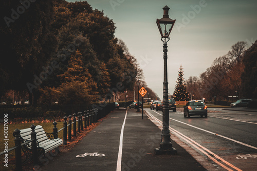 Road beside the peaceful Phoenix Park in Dublin. Perspective view of the bicycle way with bench and street lamps around and a real tree decorated with christmas lights in a bokeh background. photo