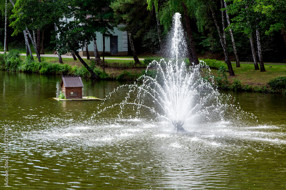 fountain in the pond with duck house on the water on the park with green plants on the river bank.