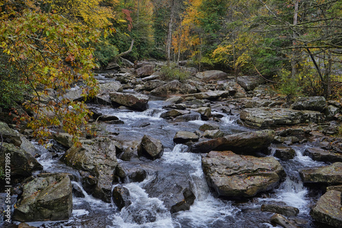 Beautiful river view at the Babcock State Park in West Virginia. Water flowing over large rocks during the autumn season.