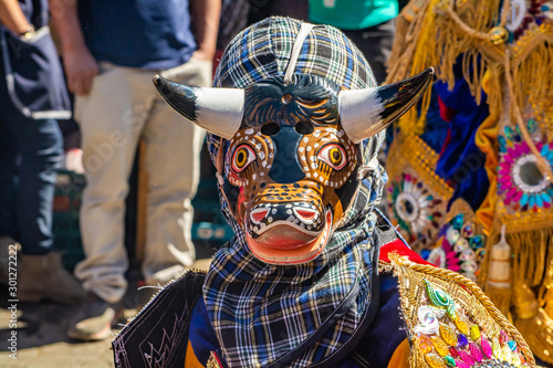 Obraz na płótnie bull carnival mask