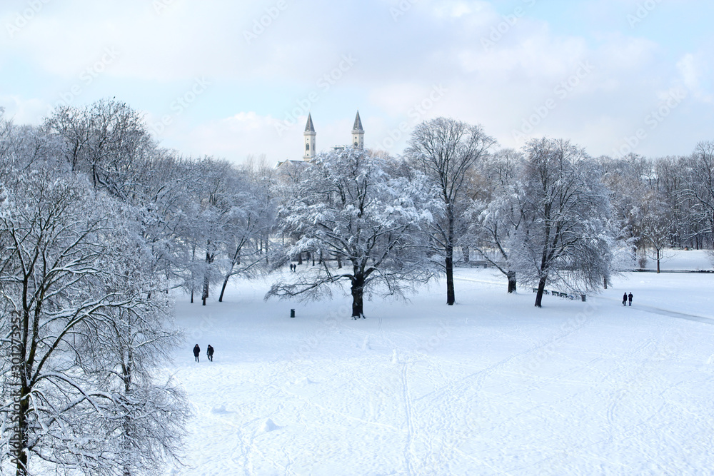 beautiful winter landscape with snowy trees in a park where people walk and blue sky