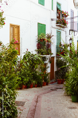 Fototapeta Naklejka Na Ścianę i Meble -  White street with plants from southern Spain