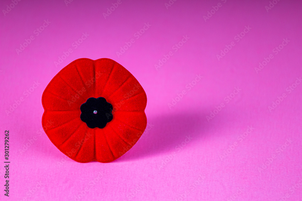 Obraz premium Remembrance Day Poppy Flower with a pink Background