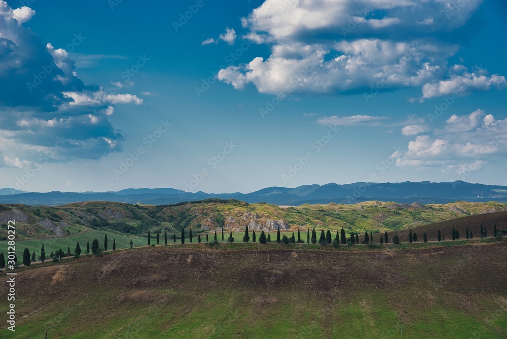 View of lush nature of the Crete Senesi, Asciano, Italy