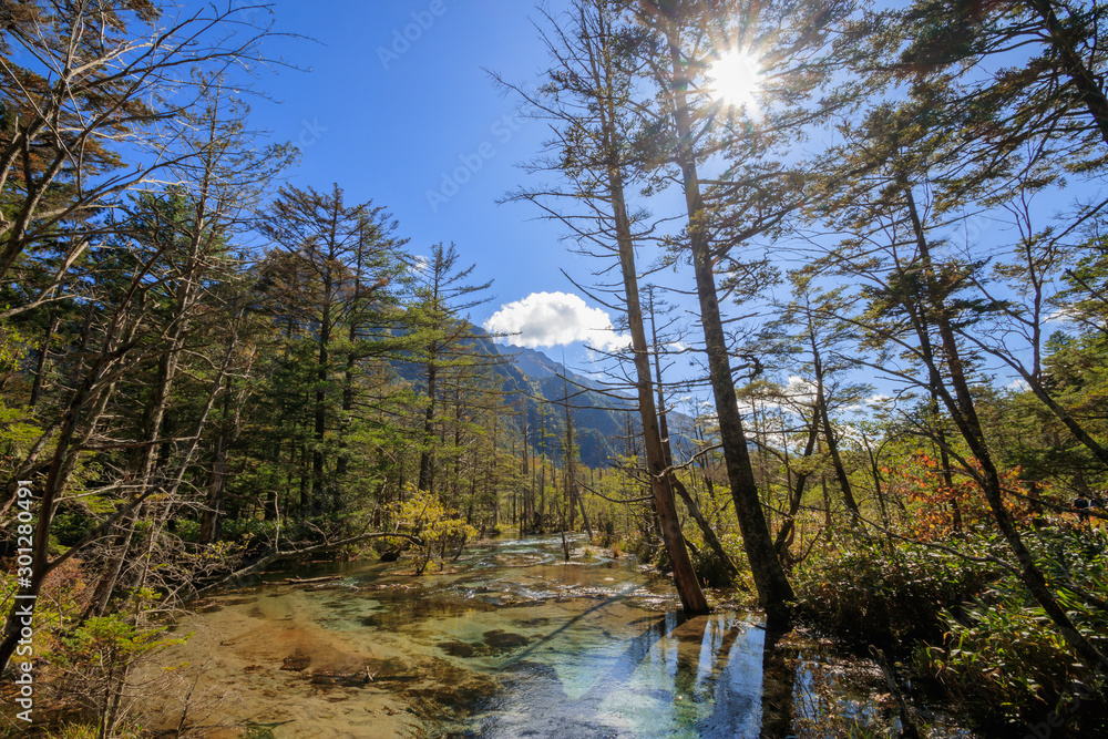 秋の上高地 岳沢湿原 長野県松本市 Kamikochi in autumn Dakesawa Bog Nagano Matsumoto city 秋の上高地 岳沢湿原 長野県松本市 Kamikochi in autumn Dakesawa Bog Nagano Matsumoto city