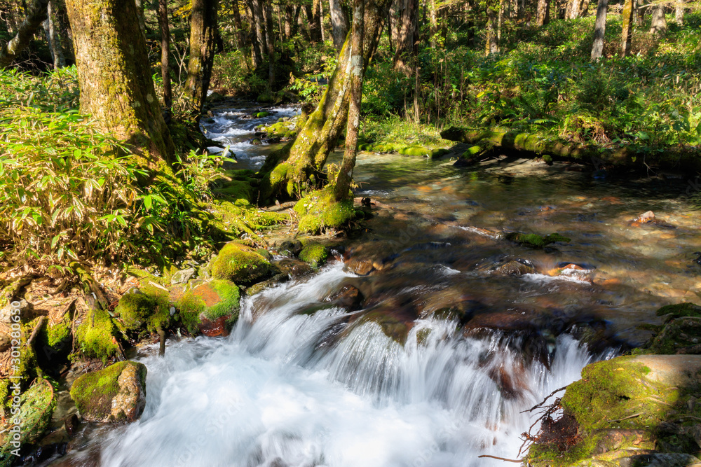 Obraz premium 登山道を流れる清流 上高地 長野県松本市