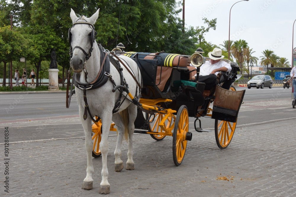 Traditional horse carriage in Seville, Spain. Touristic transport