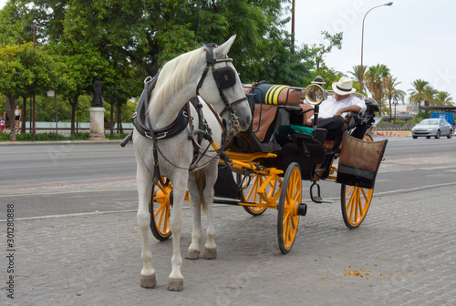 Traditional horse carriage in Seville, Spain. Touristic transport