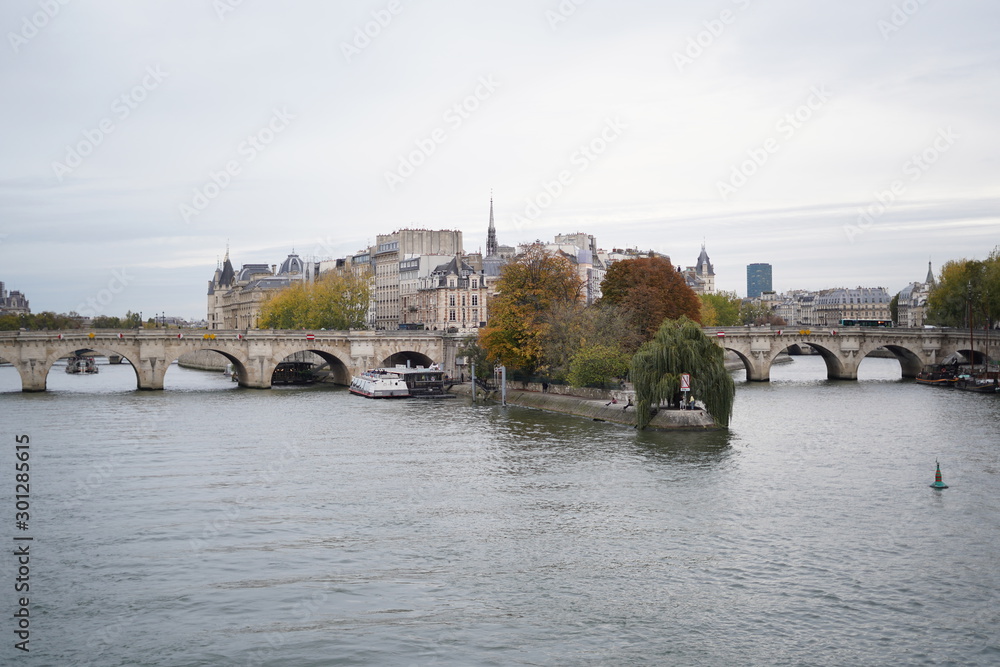 Obraz premium セーヌ川の分岐点