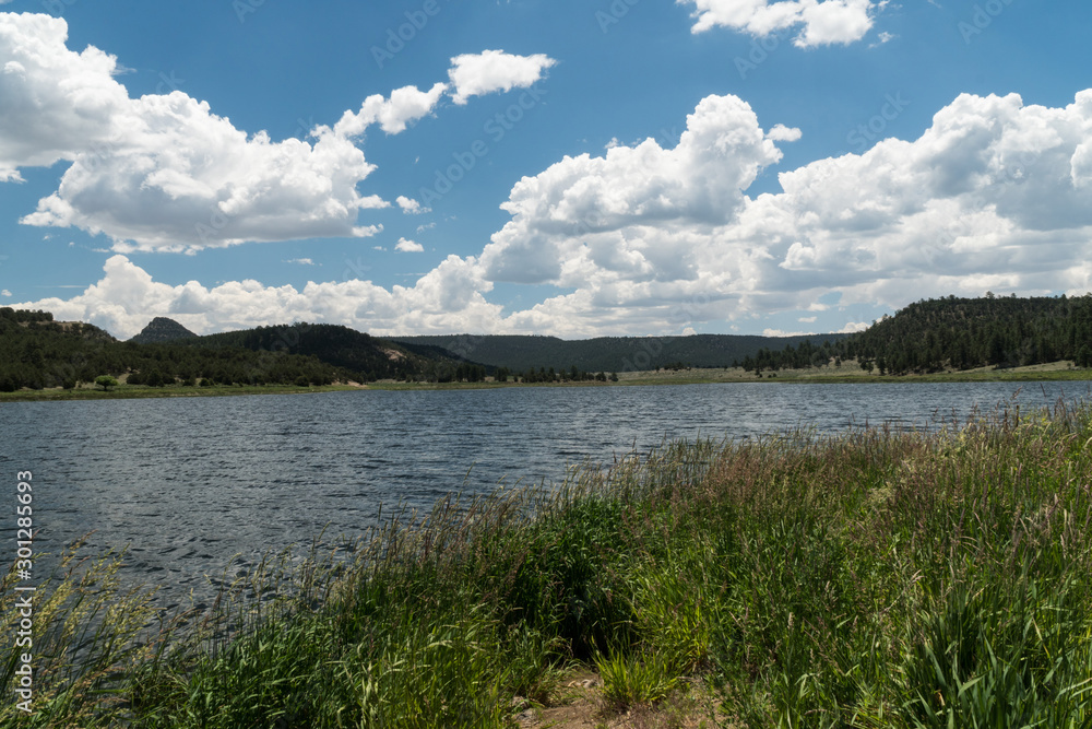 Catron county's Quemado Lake in New Mexico.