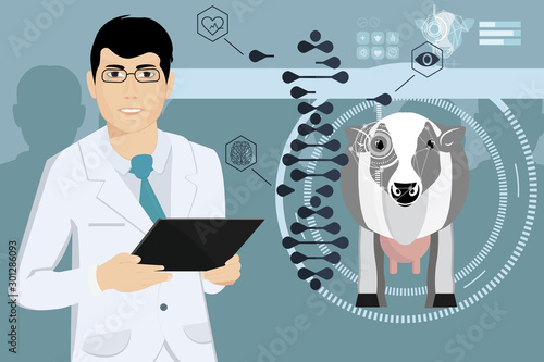 A scientist studies the genes of a cow.