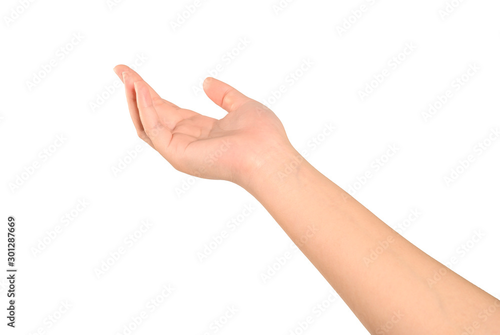 Woman hand isolated on white background.man Woman hand isolated on white background.man