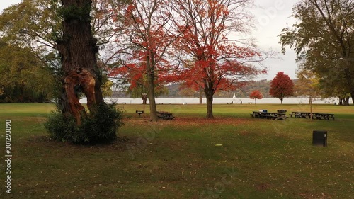 low altitude drone truck shot left, then dolly forward toward an old tree with a huge hole in the trunk. There is a white sailboat & the Hudson River in the background at Croton Point Park, New York photo