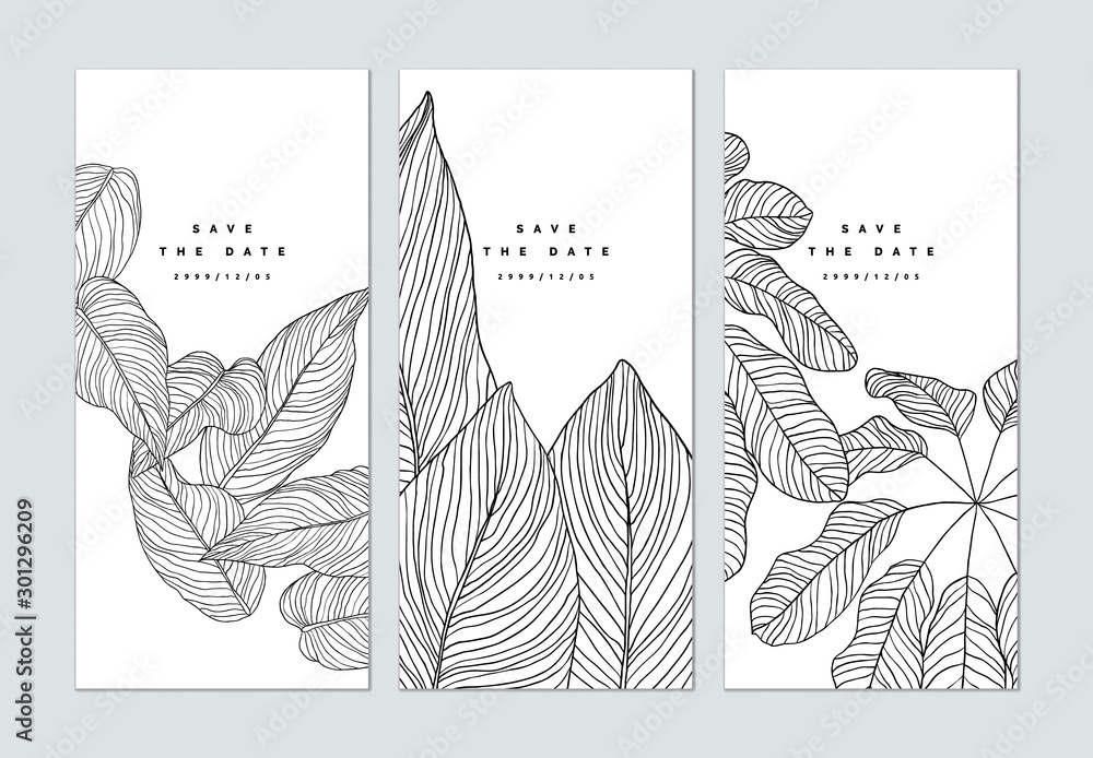 Set of botanical brochure cover template design, leaves line art ink Set of botanical brochure cover template design, leaves line art ink