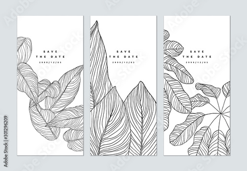 Set of botanical brochure cover template design, leaves line art ink drawing ...