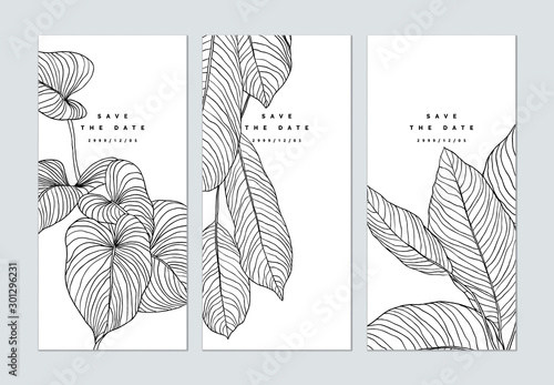 Set of botanical brochure cover template design, leaves line art ink drawing in black on white