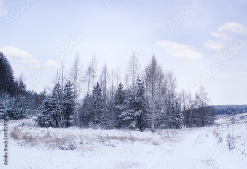 Winter islet in the forest. © I_n_g_r_i_t