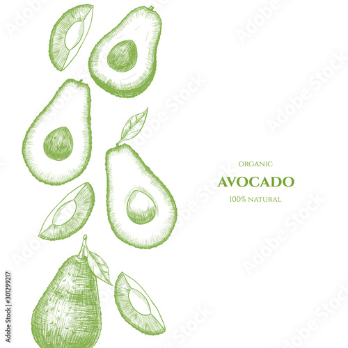 Vector frame with avocado. Hand drawn. Vintage style