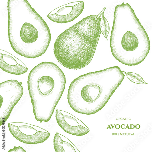 Vector frame with avocado. Hand drawn. Vintage style