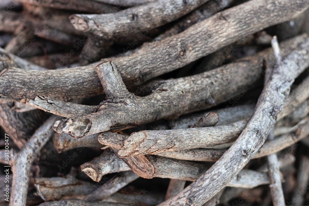 Piles of debris or dry wood which has been prepared as a material for bonfire for cooking and to increase warmth in winter. Piles of debris or dry wood which has been prepared as a material for bonfire for cooking and to increase warmth in winter.