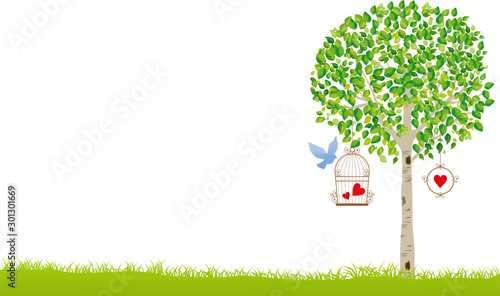 木：木　枝　自然　緑　葉　新緑　新芽　初夏　夏　春　エコ　グリーン