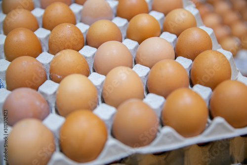 eggs in Chicken crate