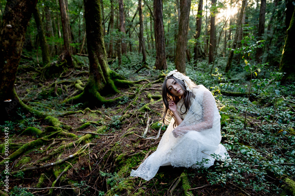 森の中にいるフェアリー