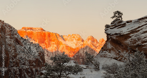 Snow covers a panoramic landscape of red sandstone cliffs and green juniper trees in Zion National Park Utah.