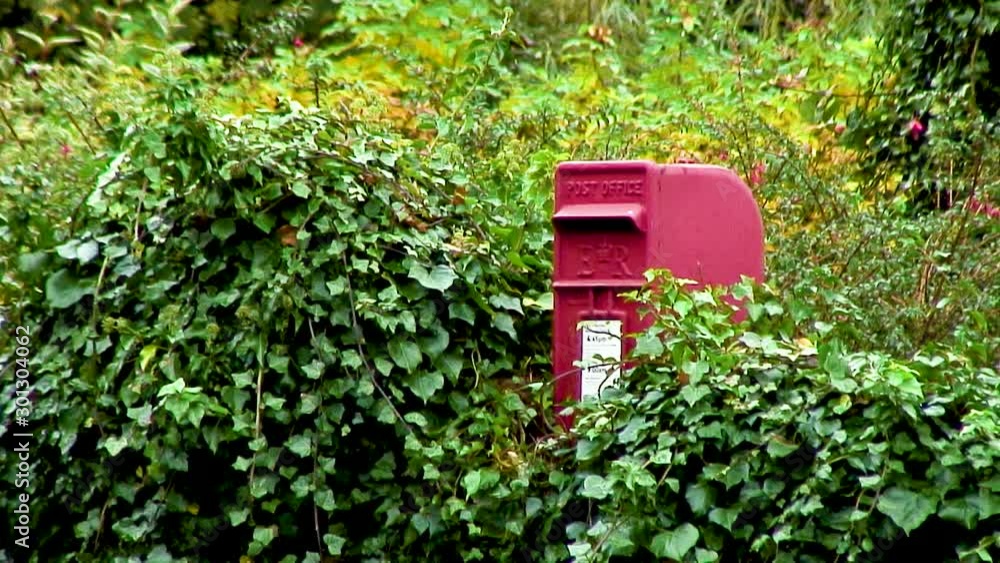 Red letter box half hidden by foliage in a hedge Red letter box half hidden by foliage in a hedge