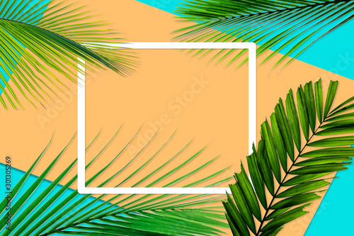 Green palm leaves pattern for nature concept tropical leaf on orange and teal paper background