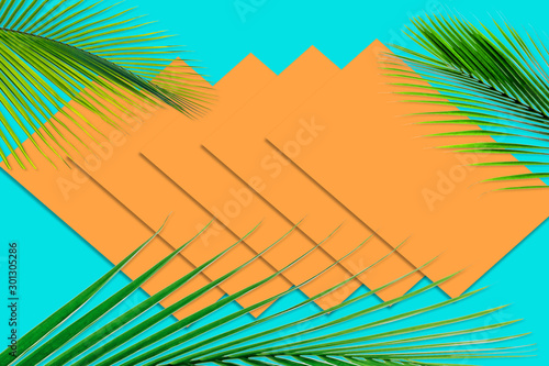 Green palm leaves pattern for nature concept tropical leaf on orange and teal paper background